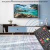 Gvirtue Universal CRC-1130V Remote Control
